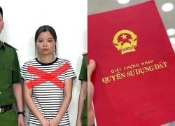 Làm 49 sổ đỏ giả để kêu gọi đầu tư bất động sản, nữ quái lừa 180 tỷ đồng