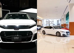Toyota lập kỷ lục doanh số trong tài khóa 2025 nhờ xe điện hóa
