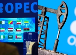 UAE tuyên bố rút khỏi OPEC