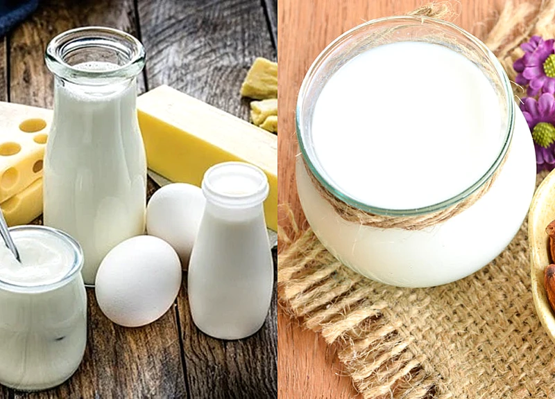 Chế phẩm từ sữa: 'chìa khóa vàng' cho hệ tiêu hóa khỏe mạnh và miễn dịch vững vàng ở trẻ nhỏ