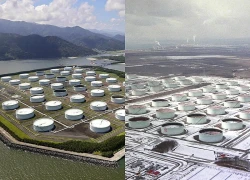 Nhật Bản cân nhắc tiếp tục xả kho dự trữ dầu