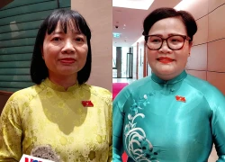 Vụ 300 tấn thịt lợn bệnh: Thực phẩm đưa vào trường học phải có "hồ sơ sống"