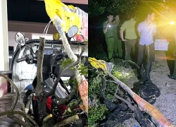 Nam thanh niên khai thác, vận chuyển 6 cây muội hồng bị xử lý thế nào?