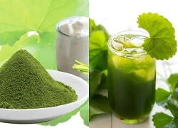 5 cách làm đẹp da từ rau má cực dễ