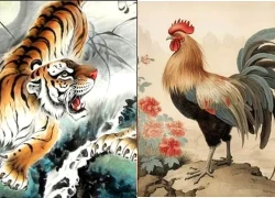 Cãi nhau như cơm bữa nhưng 3 cặp đôi con giáp này lại 'trúng lộc' đường con cái, sinh ra toàn 'rồng phượng'