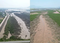 Cảnh tượng bất thường ven biển Hà Tĩnh, chưa tìm ra nguyên nhân