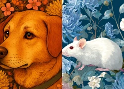 Trong vòng 30 ngày tới, 3 con giáp gặp thời khắc vàng, thu Lộc tứ phương, của nả ngập kho, giàu có hơn người