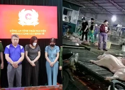 Bắt tạm giam hiệu trưởng mầm non cho "tuồn" thịt nhiễm bệnh vào trường