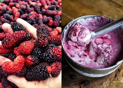 Đánh bay mụn trứng cá từ quả dâu tằm