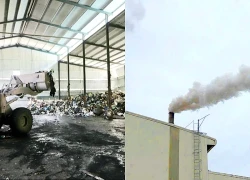 Gây ô nhiễm môi trường, 2 doanh nghiệp bị xử phạt hơn 700 triệu đồng