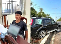 Khởi tố kẻ trộm ô tô, lái xe gây tai nạn rồi leo lên ngọn dừa trốn