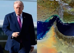 Tổng thống Trump muốn NATO tránh xa Hormuz