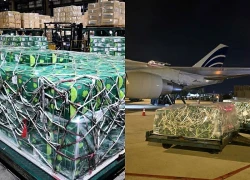 Gần 100 tấn rau quả Việt chinh phục thị trường UAE