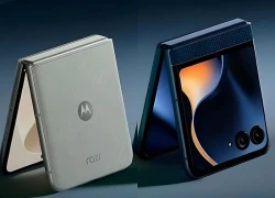 Giải mã thế hệ điện thoại Motorola 2026: Khi độ bền quân đội hội tụ cùng thiết kế siêu mỏng