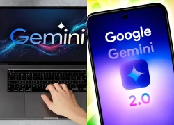 Google mở rộng tính năng Notebooks miễn phí cho người dùng Gemini