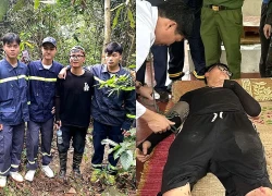 Lạc rừng Tam Đảo gần 2 ngày, nam sinh kể cách sinh tồn