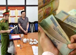 Nguyên cán bộ ủy ban kiểm tra tỉnh ủy lừa "chạy việc"