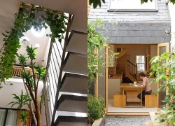 Ông bà dặn: Nhà có đủ 6 dấu hiệu này thì ai hỏi cũng đừng bán, càng ở càng tốt, con cháu hưởng lợi nhiều đời