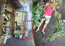 Trồng cây trước nhà, người đàn ông ở Lâm Đồng bị hàng xóm đánh nhập viện