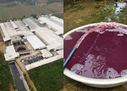 Vụ nước giếng khoan đổi màu tím: Nhà máy giặt là bị tạm dừng hoạt động