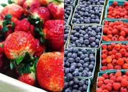 Các loại thực phẩm chống viêm nên bổ sung cho cơ thể