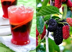 Cách sử dụng dâu tằm trị tóc bạc sớm theo Đông y