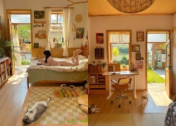 Đừng decor phòng trọ nếu bạn chưa biết những quy tắc này