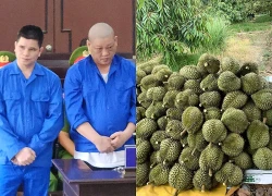 Dựng kịch bản chiếm đoạt gần 16 tấn sầu riêng, 3 bị cáo lĩnh 43 năm tù