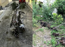 Hơn 81kg phôi muội hồng chuẩn bị được gửi qua đường bưu điện