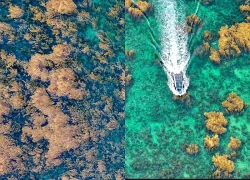 Mùa du lịch biển Quy Nhơn với nhiều trải nghiệm hấp dẫn