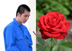 Sát hại người tình ở Tây Ninh rồi đặt hoa hồng lên thi thể