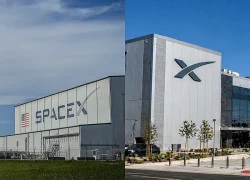 SpaceX giành quyền thâu tóm công ty lập trình AI với giá 60 tỷ USD