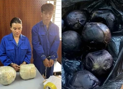 Thu giữ 10kg nhựa thuốc phiện trong đường dây ma túy liên tỉnh