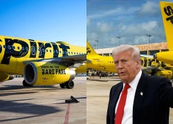 Tổng thống Trump tính phương án mua lại hãng hàng không giá rẻ