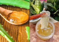 Uống nước nha đam kèm 1 thứ vừa bổ đại tràng, vừa tốt như bôi 1 lớp 'kem chống nắng' kiêm 'kem nhả nắng tự nhiên'