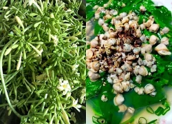 5 "cực phẩm" 0 đồng ngay trong vườn nhà: Những món ăn thanh tao các cụ xưa trân quý, con cháu nay lại bỏ phí