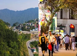 Du lịch Tam Đảo 2026: Hấp dẫn từ cảnh quan đến dịch vụ