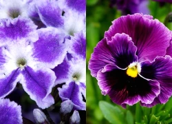 Đúng ngày mai, thứ Hai 27/4/2026, 3 con giáp Thần Tài tặng bao tiền, thoát kiếp khó khăn, ra ngõ hốt vàng, giàu sang vô đối