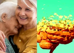 Hy vọng mới trong cuộc chiến chống Alzheimer từ loại dược phẩm quen thuộc