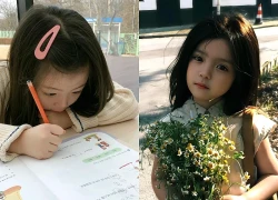 Khoảng cách giữa "học bá" và học sinh bình thường không nằm ở IQ, mà là 3 năng lực cốt lõi này