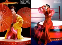 Không có phép màu với Nhật Kim Anh