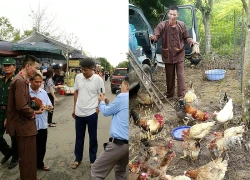 Mang “gà chín cựa” tới Đền Hùng, người đàn ông “hé lộ” điều bất ngờ