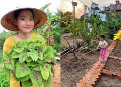 Rời TP.HCM sau 10 năm sinh sống, vợ chồng trẻ về quê dựng nhà lá