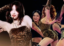 Sốc visual mỹ nhân vừa được đề cử gương mặt đẹp nhất hành tinh, nhan sắc đến body đều là "cực phẩm nhân gian"