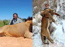 Tham gia chuyến săn bắn tốn hơn 1 tỷ đồng, triệu phú Mỹ bị voi giẫm chết