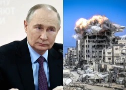 Tổng thống V. Putin: Nga sẽ làm mọi việc có thể để thúc đẩy hòa bình Trung Đông