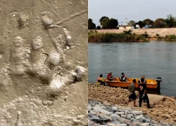 Bờ sông xuất hiện hàng loạt dấu chân lạ, chuyên gia vừa nhìn liền phác họa: "Quái thú" có thể dài 4 mét