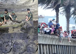 Cảnh tượng trên bờ biển Quy Nhơn khiến nhiều người bất ngờ, nhận xét: Không tin vào mắt mình
