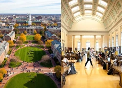 Chuyên gia dạy học sinh đỗ Harvard, Stanford chỉ rõ: Có 4 điều cha mẹ tuyệt đối không nên làm