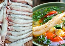 Loại cá trước bán rẻ nay thành đặc sản, người trung niên nên ăn giúp nhuận tràng, ổn định đường huyết